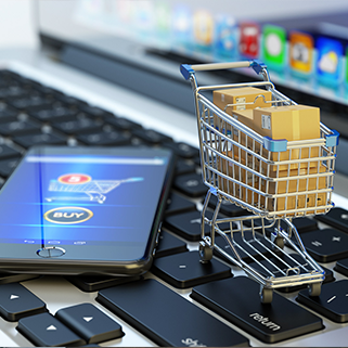 Ecommerce Developemnt Service in Riyadh